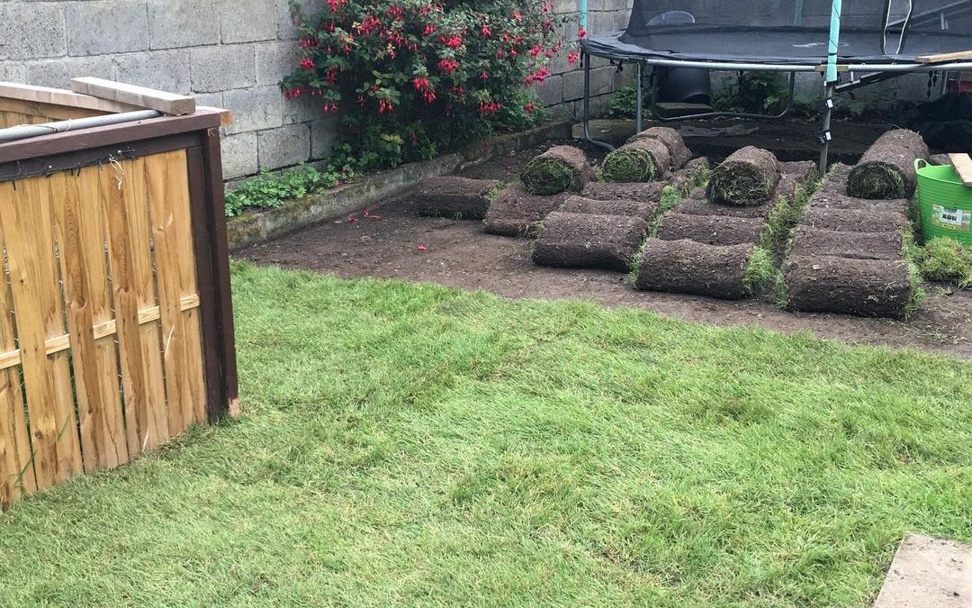 Turf laying