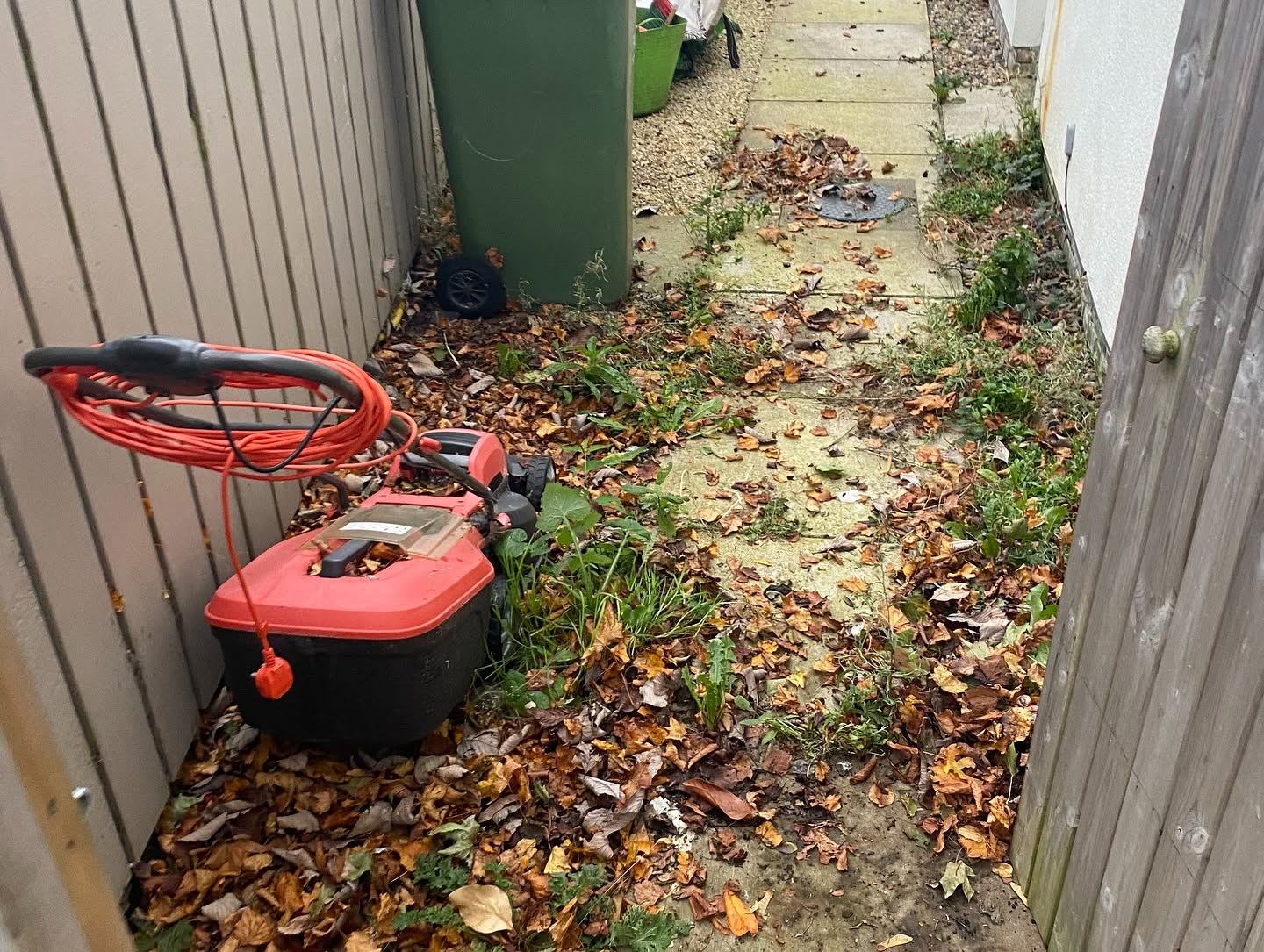 garden-tidyUp-3