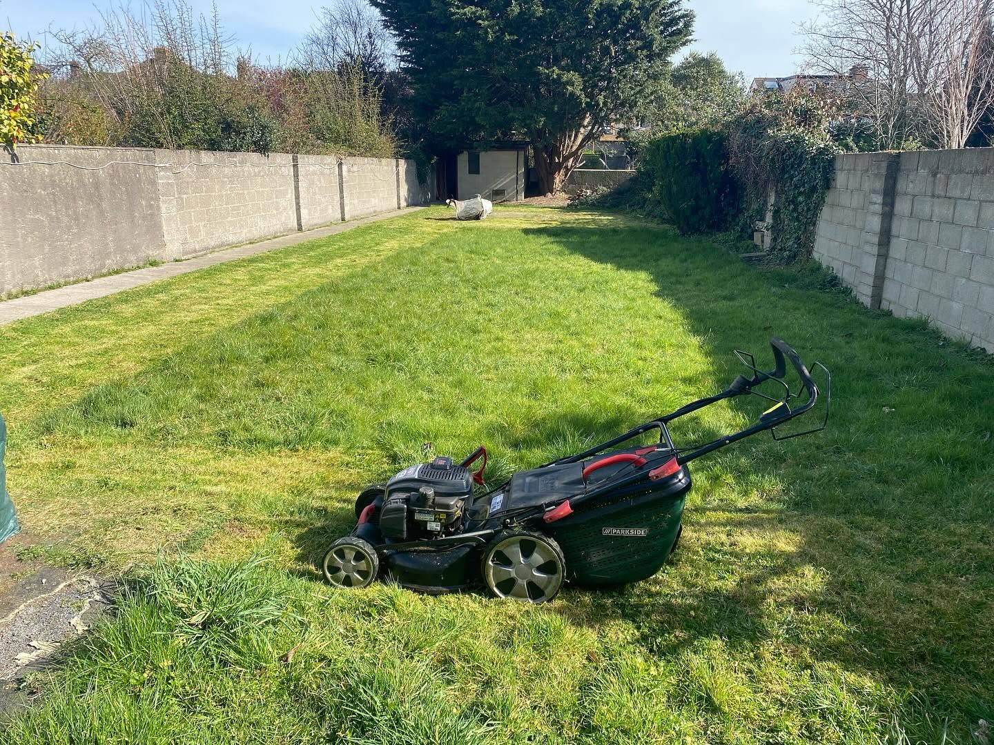 grass-cutting-2