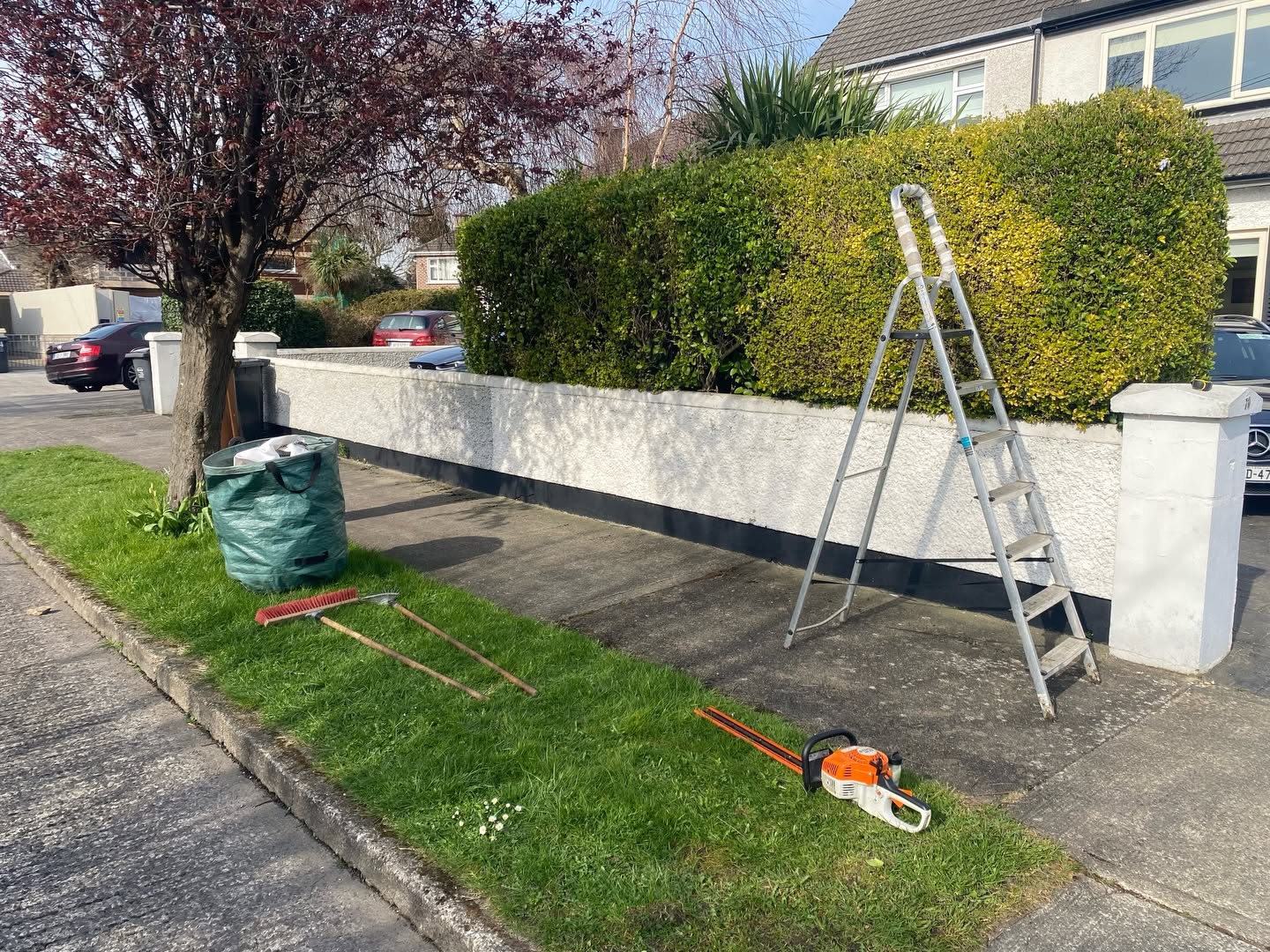 Hedge cutting & trimming
