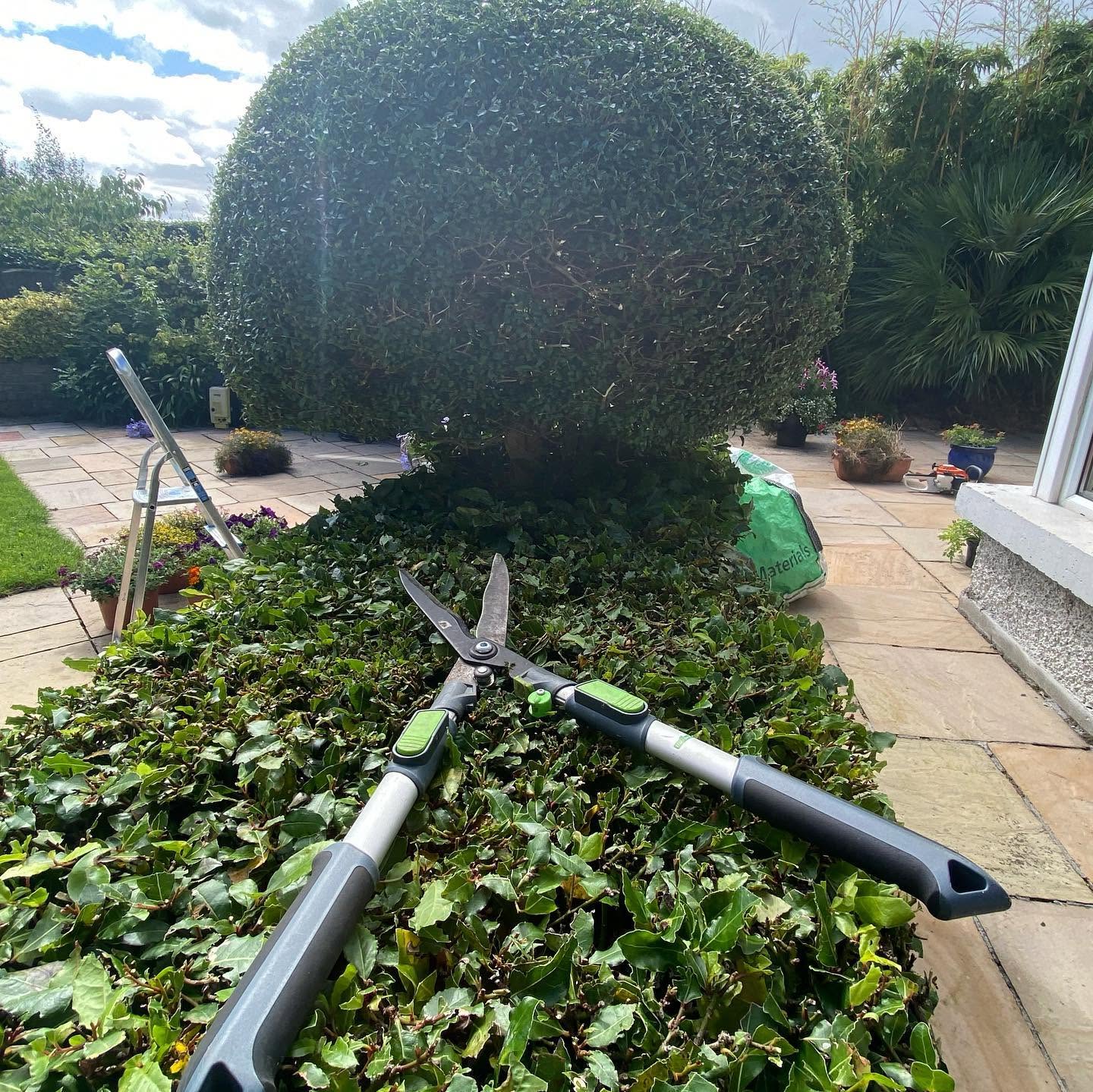 hedge-cutting-trimming-5